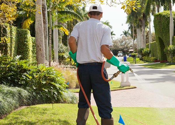 About Ider AL Pest Control
